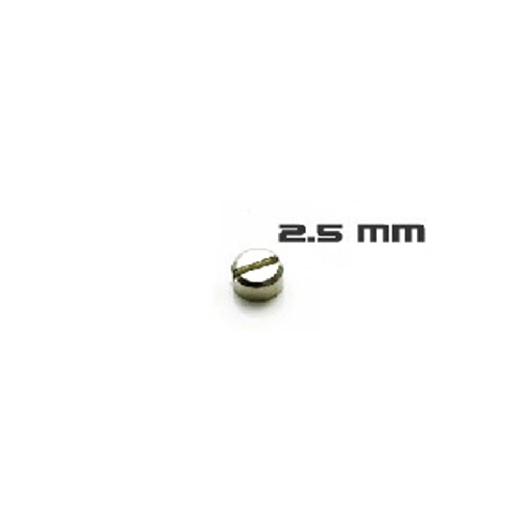 30 parafusos blindados dos pce - Gundam Model Mg avaliação e preço