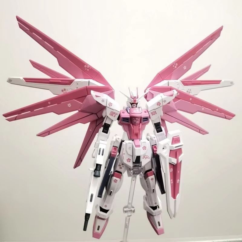 Jms hg 1/144 ZY-06 liberdade a - Gundam Model Mg avaliação e preço